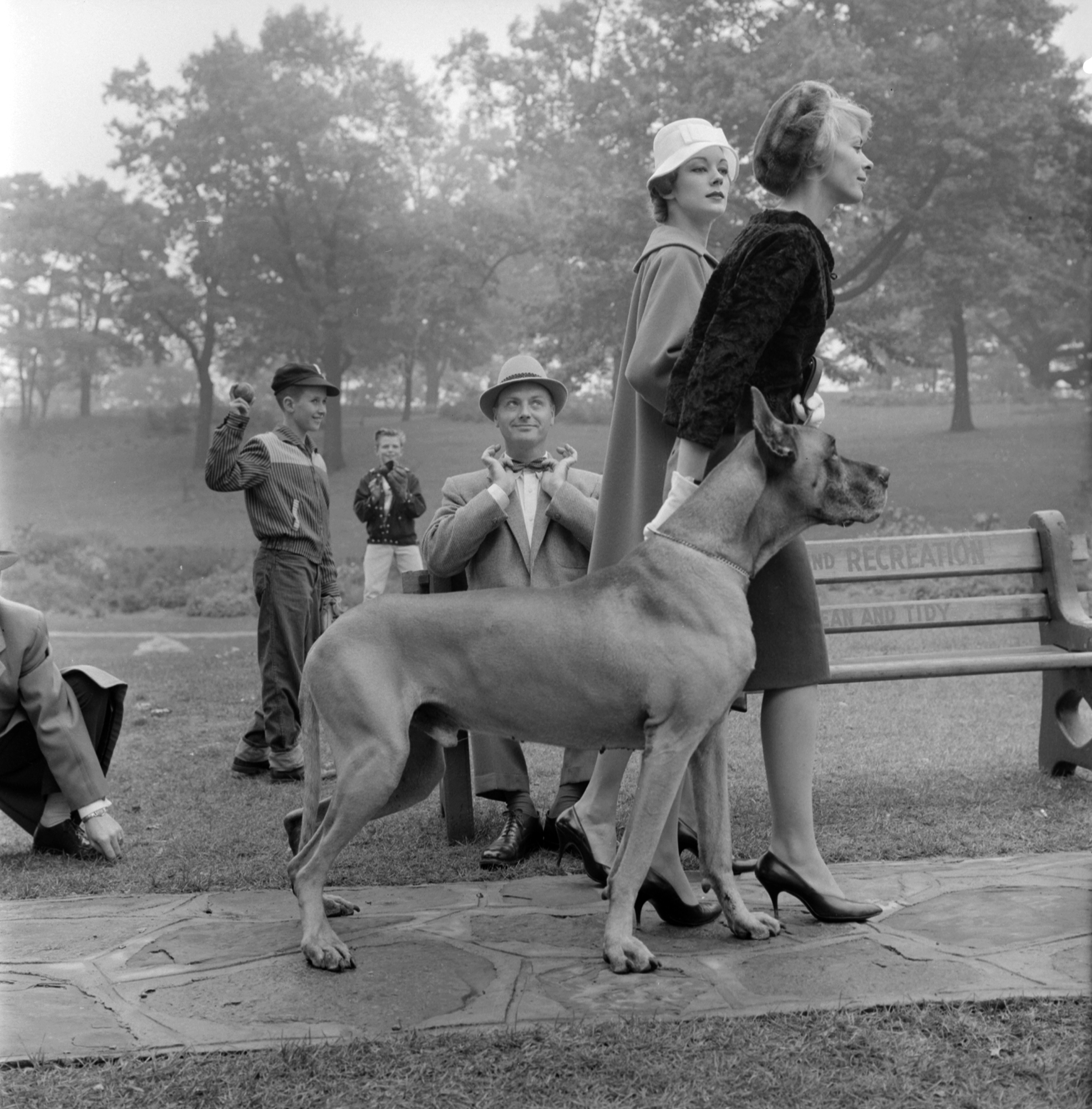 Deux femmes promènent un grand danois dans un parc. Assis sur un banc, un homme les regarde passer, tandis qu’à l’arrière-plan, deux garçons interrompent leur jeu de baseball pour observer la scène.