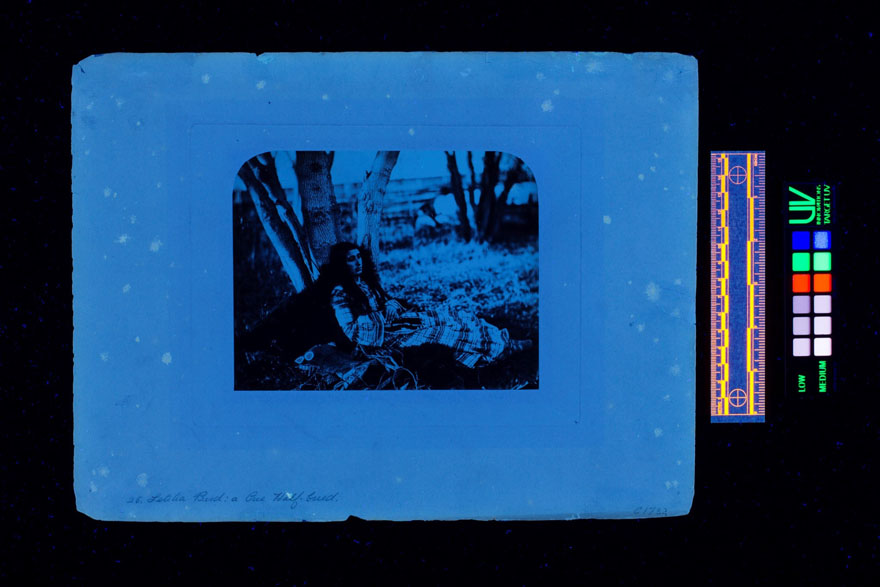 Photographie d'une jeune femme assise, adossée à un arbre. L'image paraît bleue en raison de l'éclairage fluorescent.