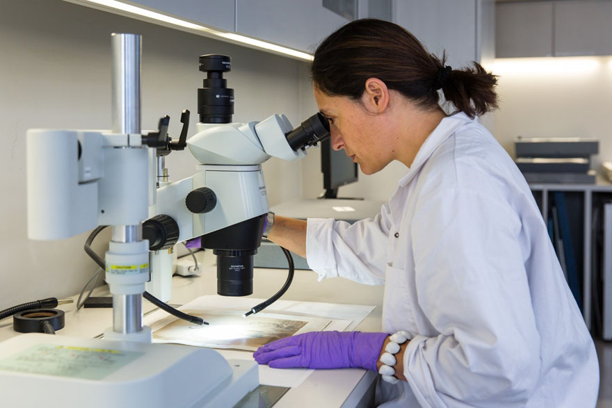 Femme portant un sarrau et des gants, observant une photo au microscope.